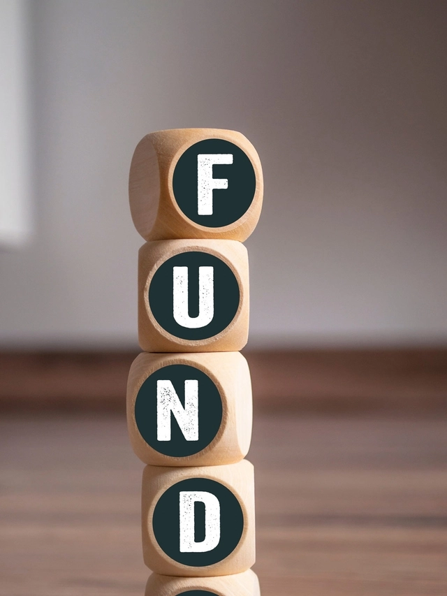 फ़्लेक्सी-कैप vs मल्टी-कैप: सही निवेश विकल्प कैसे चुनें?