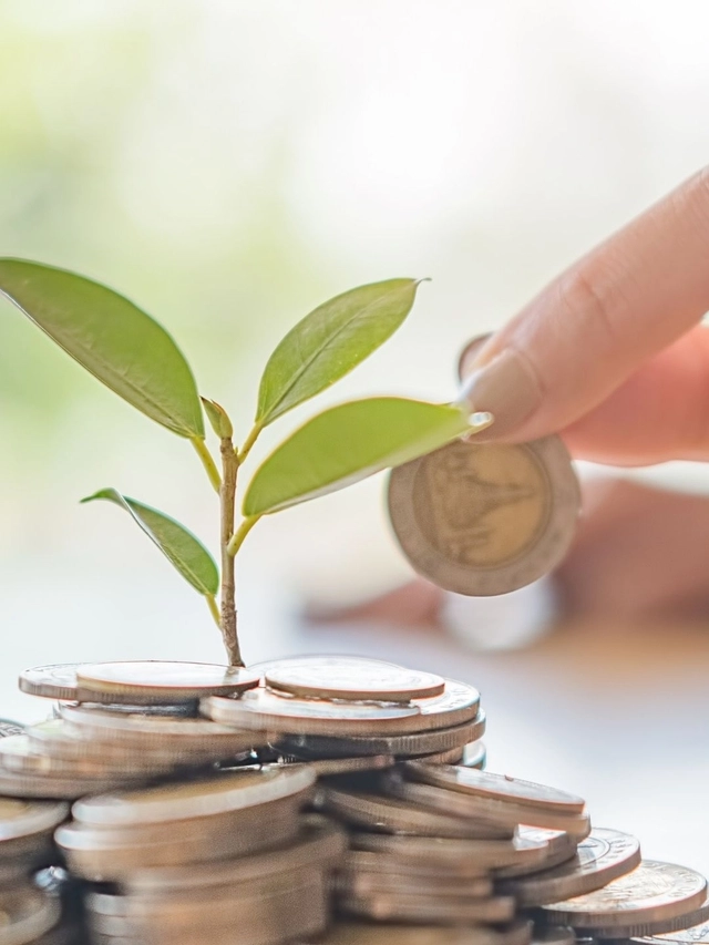 Mutual Fund: 10 साल की 5 बेस्ट SIP